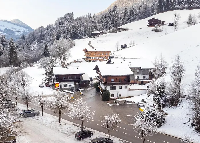 Apartamento Zellner 1